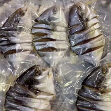咸魚(yú)-咸魚(yú)批發(fā)、促銷(xiāo)價(jià)格、產(chǎn)地貨源 
