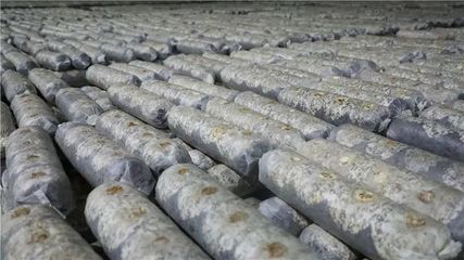 山陽、商南6個重點項目接受全市&ldquo;檢閱&rdquo;